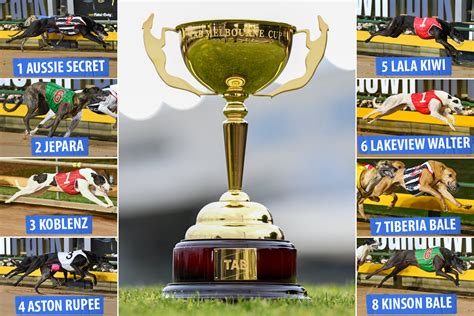 TAB Melbourne Cup Final: Armchair Guide .